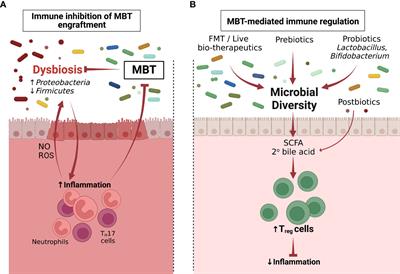 Frontiers | Immunological Consequences Of Microbiome-based Therapeutics